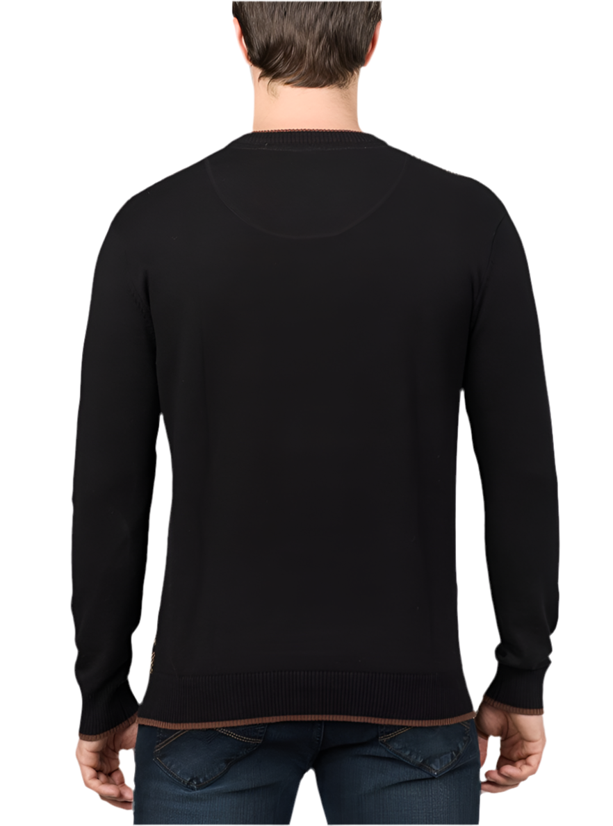 Men's v neck sweater